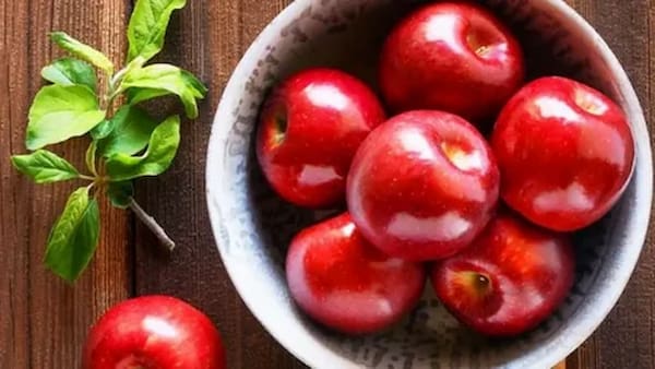 خرید و قیمت سیب سرخ سمیرم + فروش صادراتی